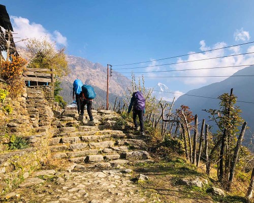 Ghorepani Trekking Trails