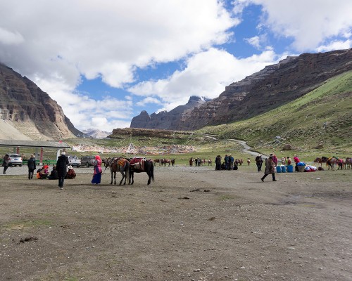 Pony For Kailash Kora