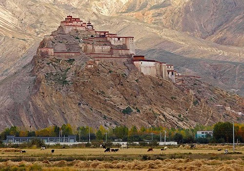 Lhasa Gyantse Shigaste Tour